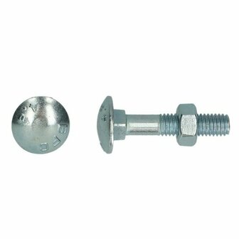 Houtbout M12x300 DIN 603 555 - 4.6 4.8