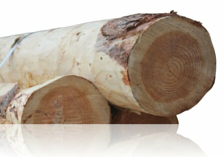 Douglas rondhout palen geschild | Diameter 20/25 cm dik