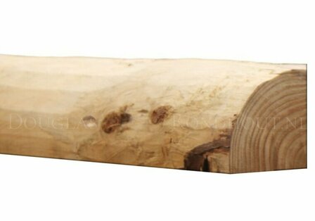 Douglas kwartronde palen geschild | Straal 7/9 cm, Lengte 500 cm.