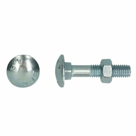 Houtbout M12x300 DIN 603 555 - 4.6 4.8