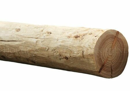 Douglas rondhout palen geschild | Diameter 9/10 cm, Lengte 250 cm.