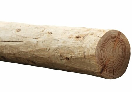 Douglas rondhout palen geschild | Diameter 9/10 cm, Lengte 600 cm.
