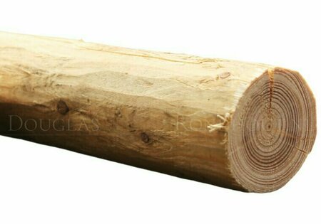Douglas rondhout palen geschild | Diameter 3/5 cm, Lengte 300 cm.