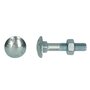 Houtbout M12x300 | DIN 603/555 - 4.6/4.8