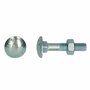 Houtbout M12x300 | DIN 603/555 - 4.6/4.8