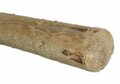 Douglas rondhout palen geschild | Diameter 13/14 cm, Lengte 500 cm.
