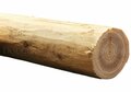 Douglas rondhout palen geschild | Diameter 3/5 cm, Lengte 100 cm.